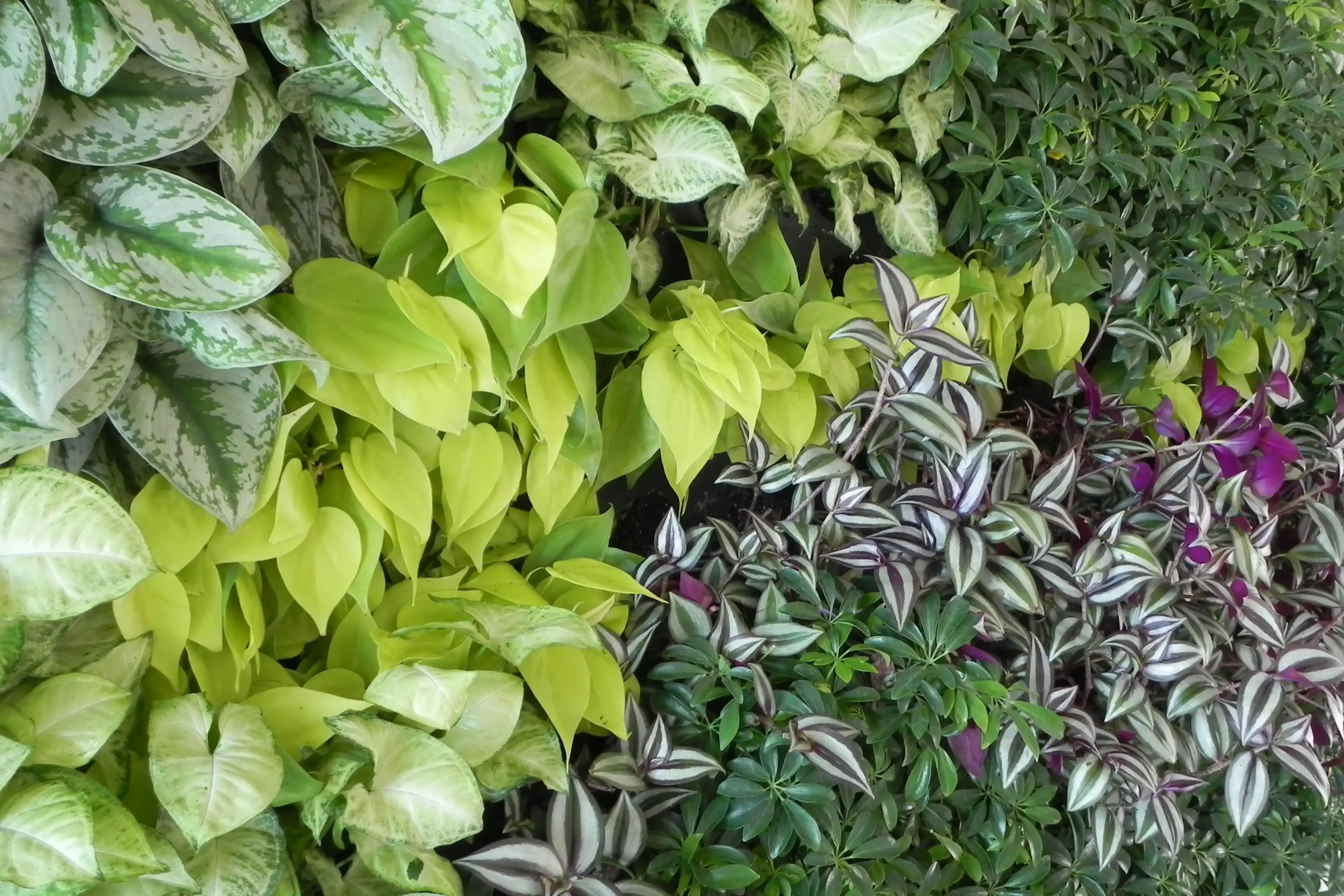 SmartBiotiles Signs Exclusive Commercial License with RKSage