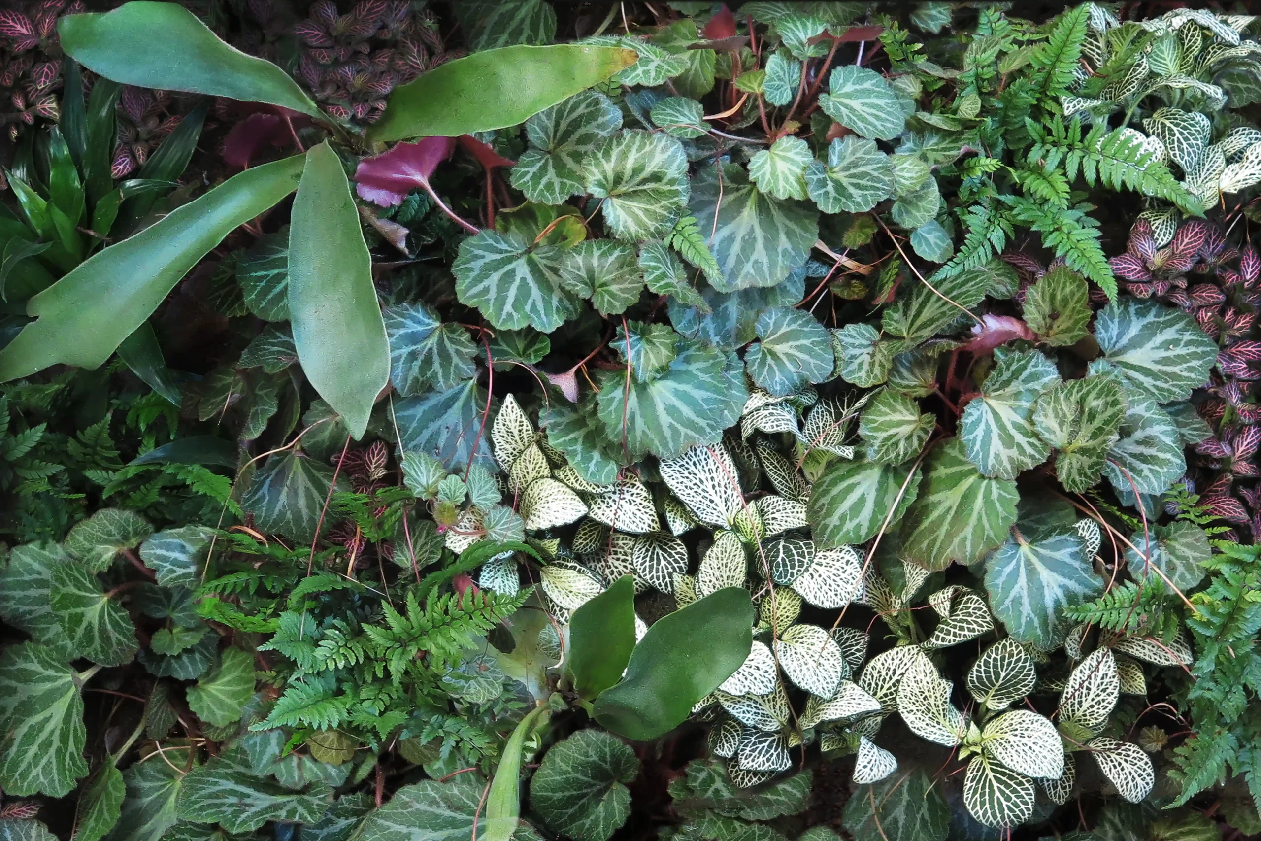 SmartBiotiles Signs Exclusive Patent Licensing Agreement with RKSage