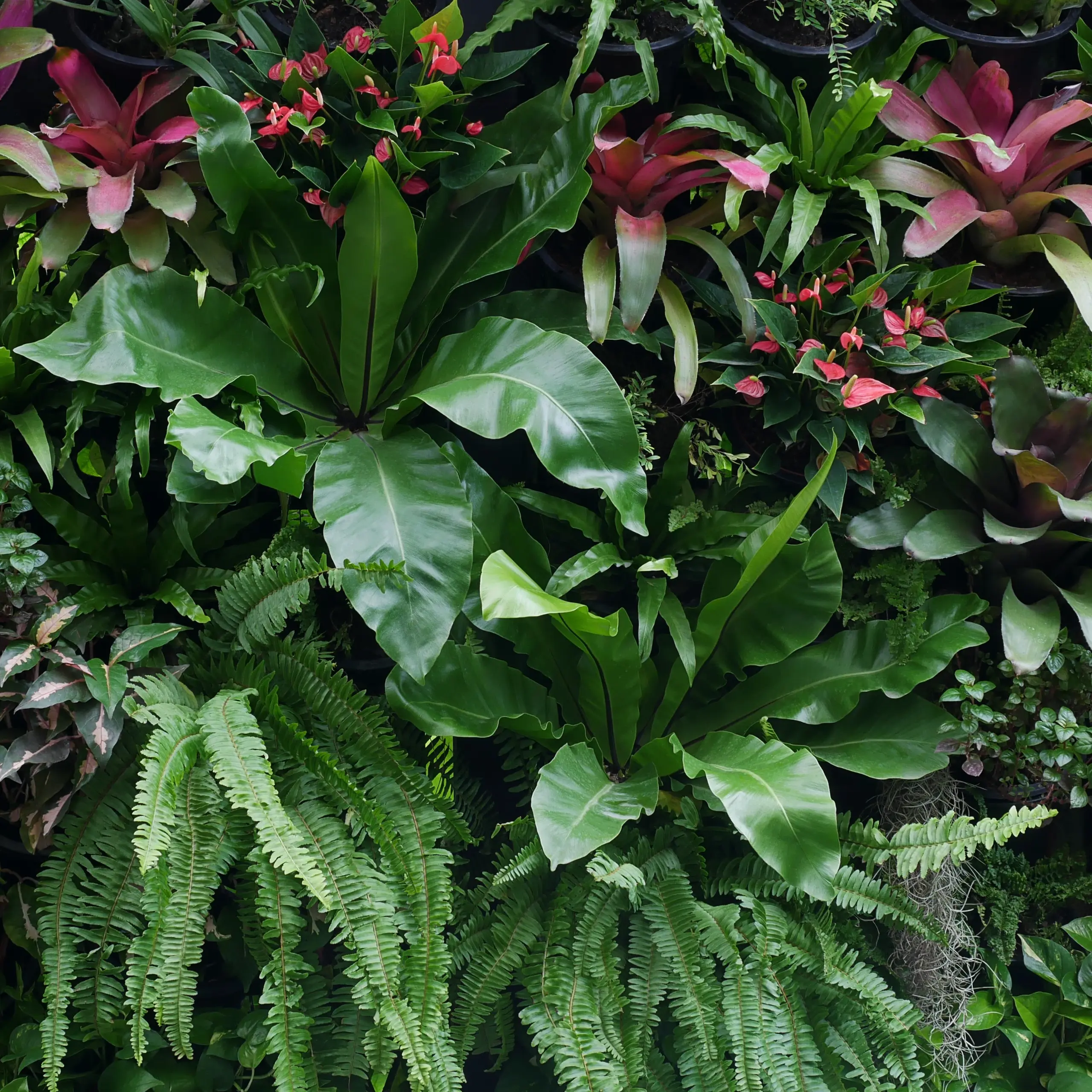 Biodiversity Built Ins