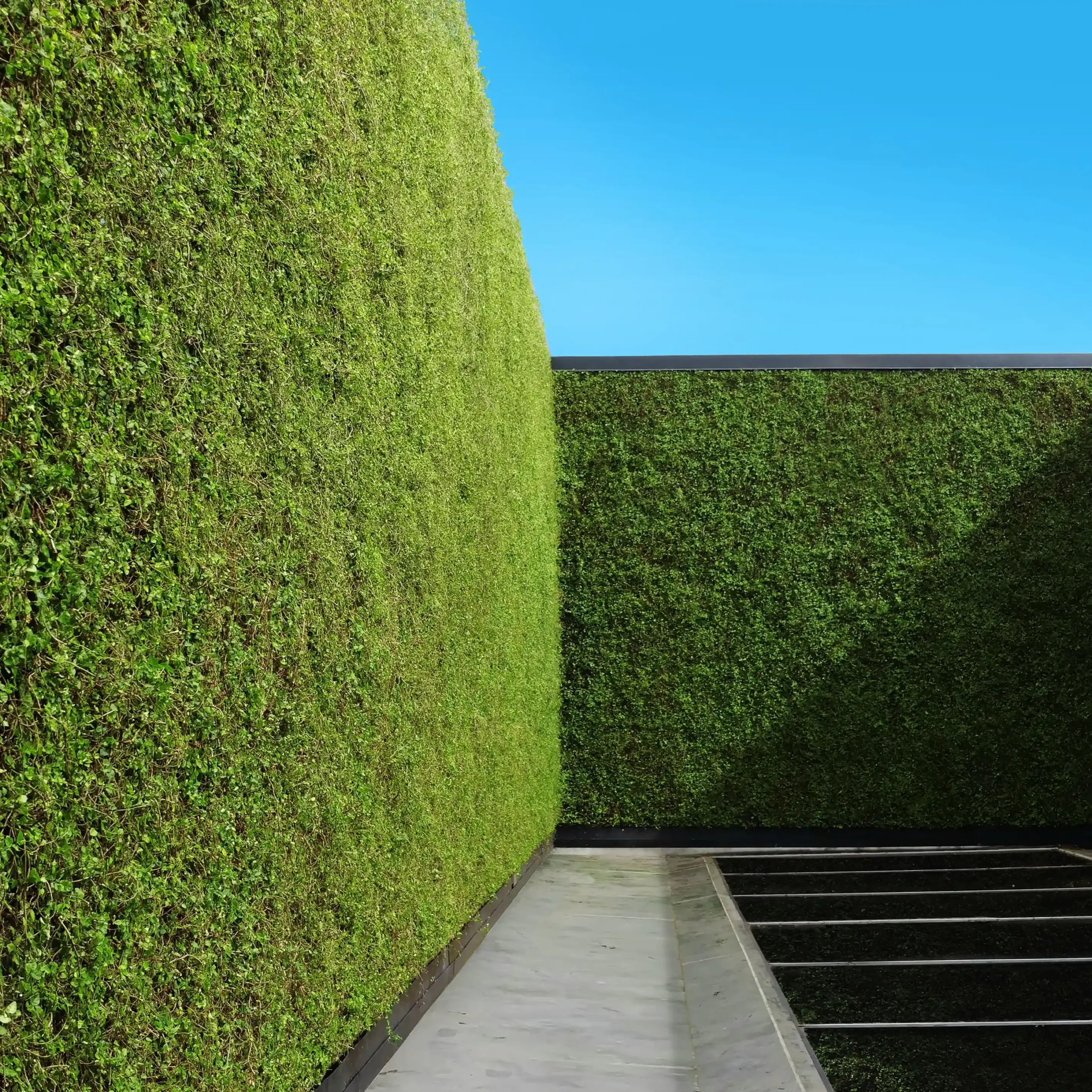 Our Legacy and Stewardship